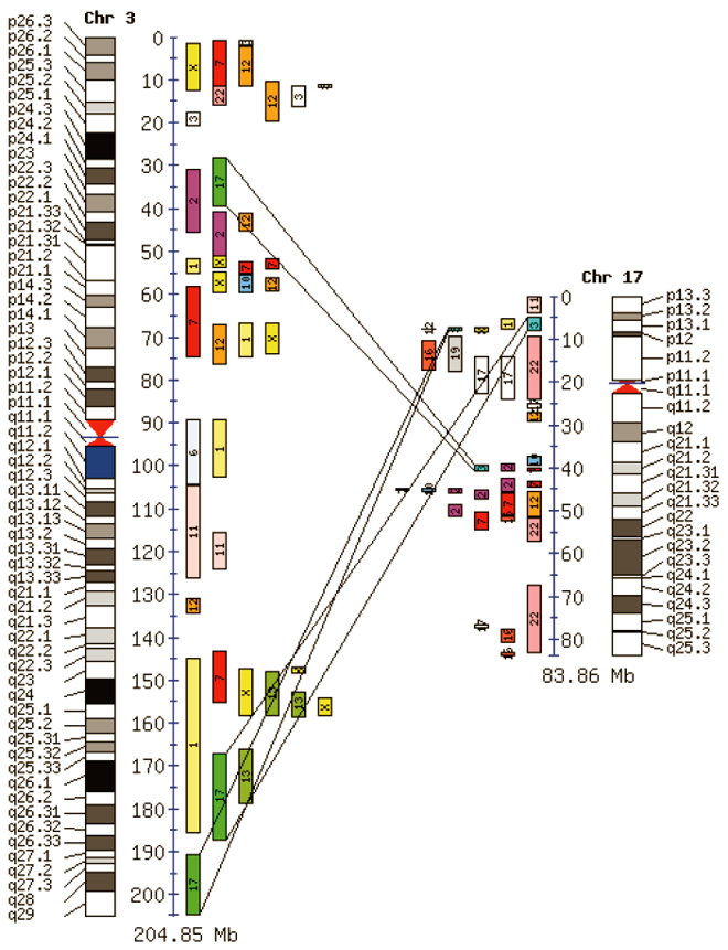 Supplementary Figure 3.