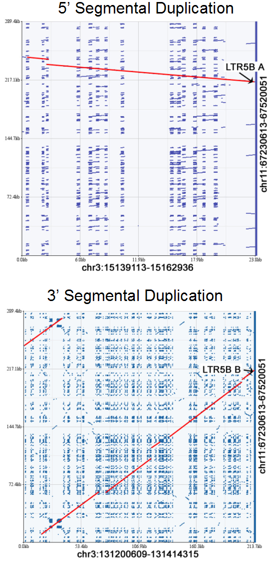 Supplementary Figure 4.