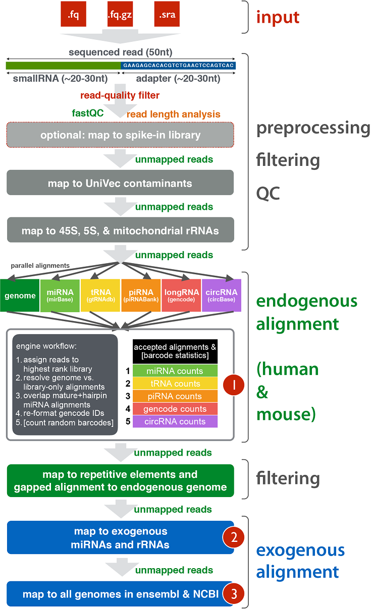 Learn more about exceRpt small RNA-seq pipeline