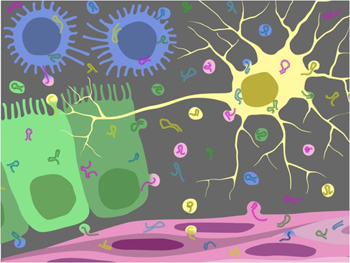 Extracellular RNA Communication Consortium