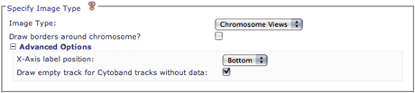Chromosome View UI