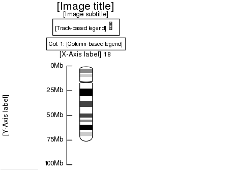 Image Labels