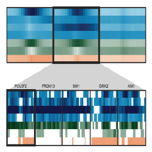 Epigenome Toolset Spark